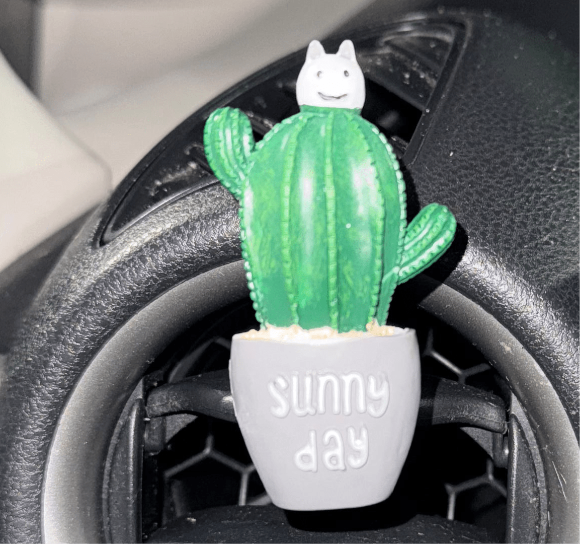 Cactus - Fashion Car ®