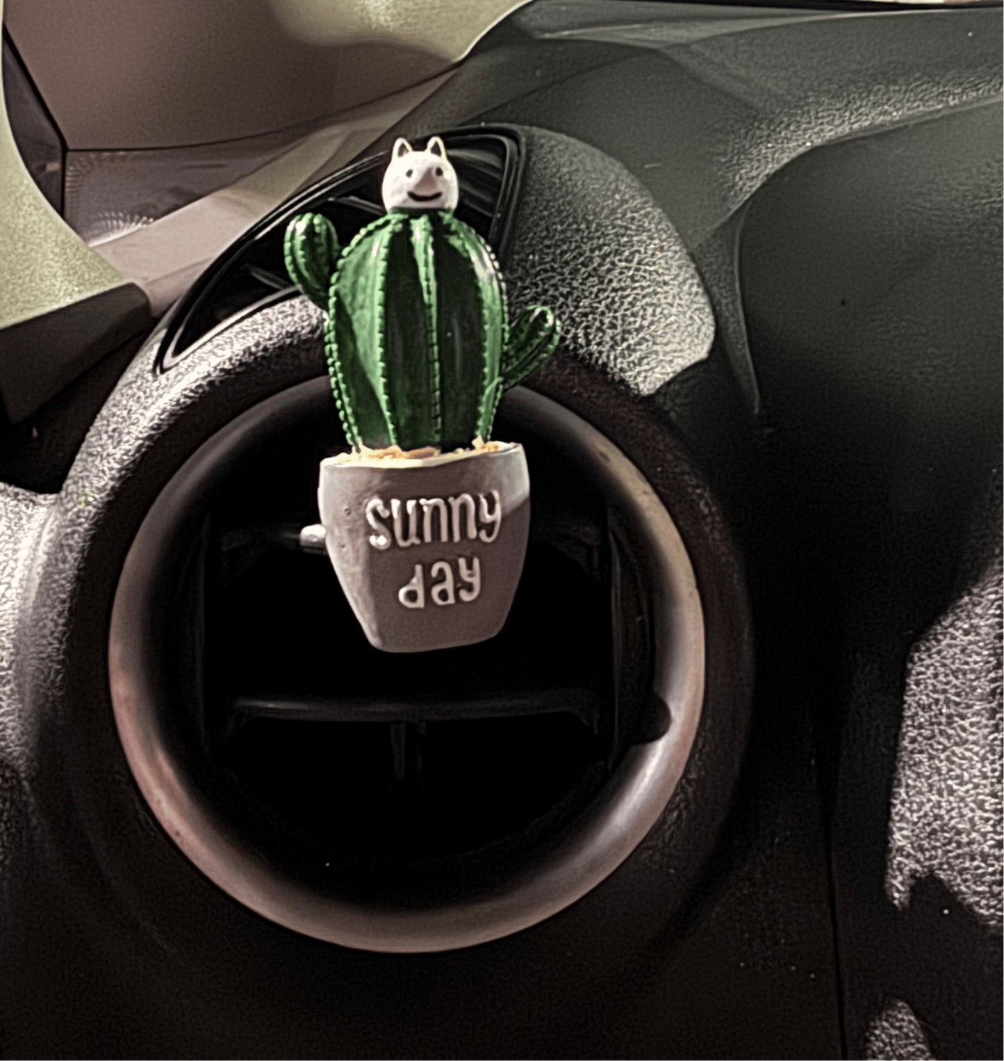 Cactus - Fashion Car ®
